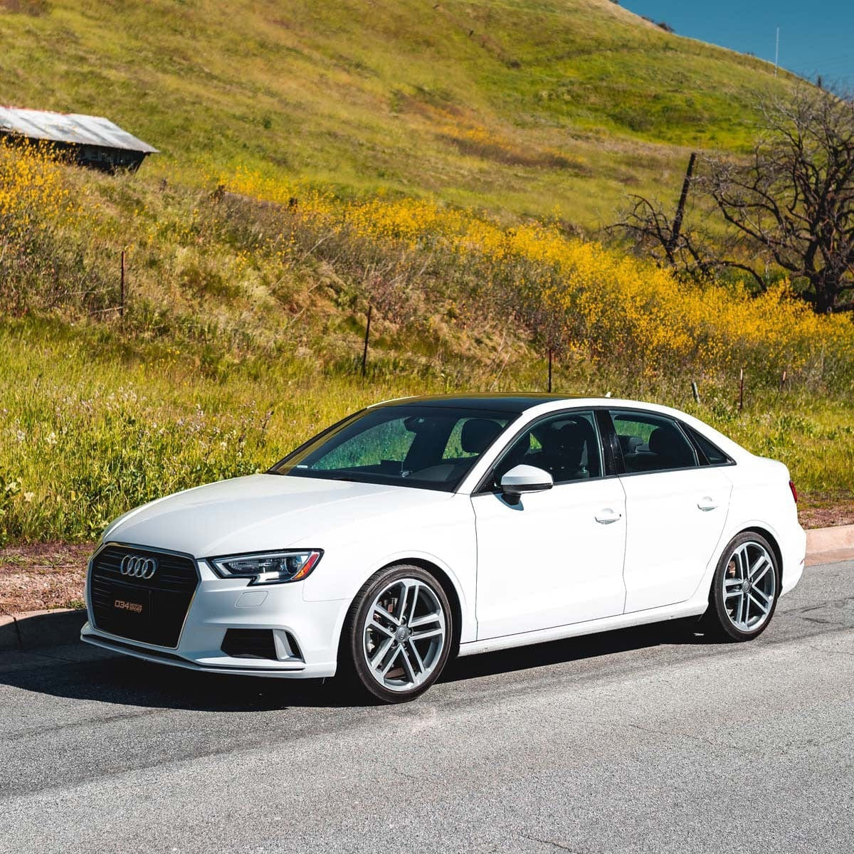 034Motorsport Dynamic+ Lowering Springs - Audi / 8V / A3 / S3 (Non-Magride)