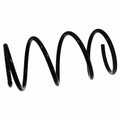 Coil Spring - BMW
