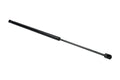 Hatch Strut