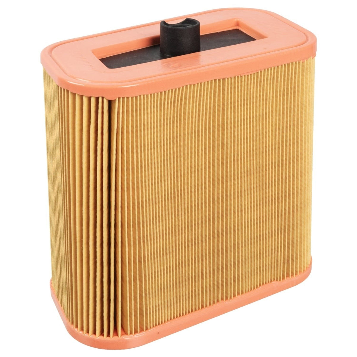 Air Filter - BMW