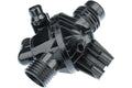 Thermostat Assembly - BMW