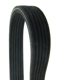 Dual-Sided Multi-V Belt - BMW