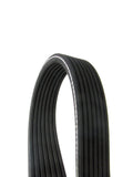 Dual-Sided Multi-V Belt - Porsche