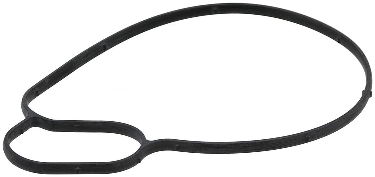 Water Pump Gasket - BMW