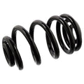 Coil Spring - BMW