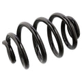 Coil Spring - BMW