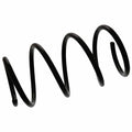 Coil Spring - BMW