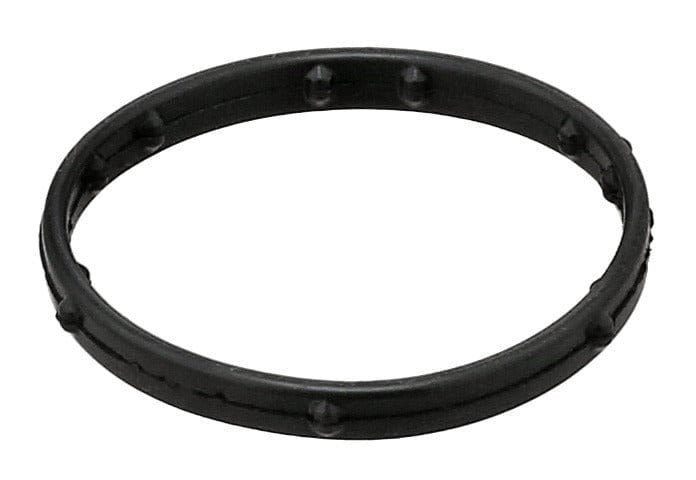 Coolant Flange Gasket - VW/Audi