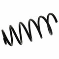 Coil Spring - VW/Audi